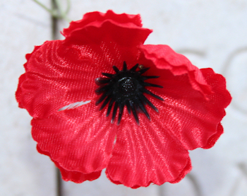 Ypres - Ieper photo - foto copyright 2013 Yves Moerman.